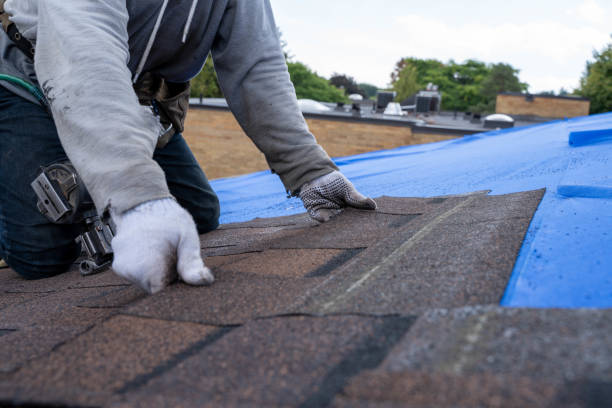 Best Flat Roof Repair Services  in Park Falls, WI