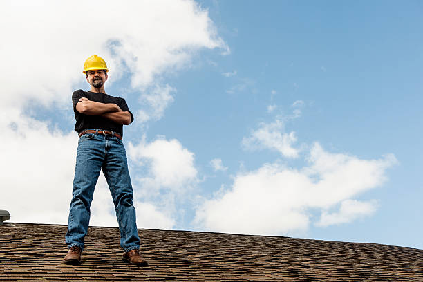 Best Metal Roofing Contractor  in Park Falls, WI