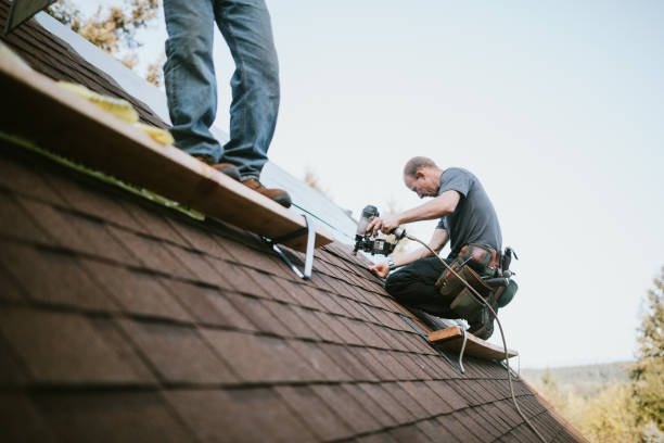 Best Roof Gutter Cleaning  in Park Falls, WI