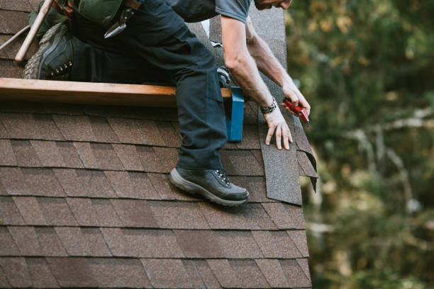 Best Roof Waterproofing Services  in Park Falls, WI