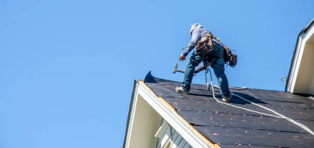 Best Shingle Roofing Installation  in Park Falls, WI